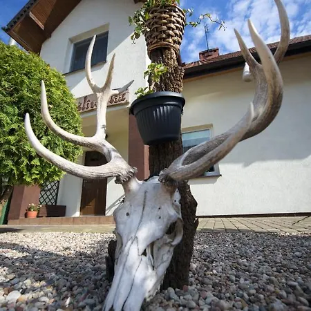 Mysliwska Bed & Breakfast