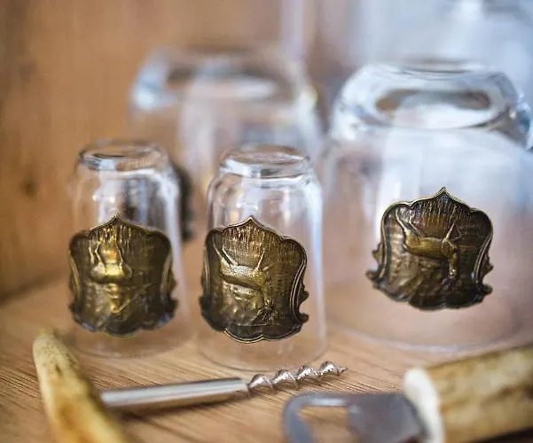 Frühstückspension Mysliwska Krynica Morska