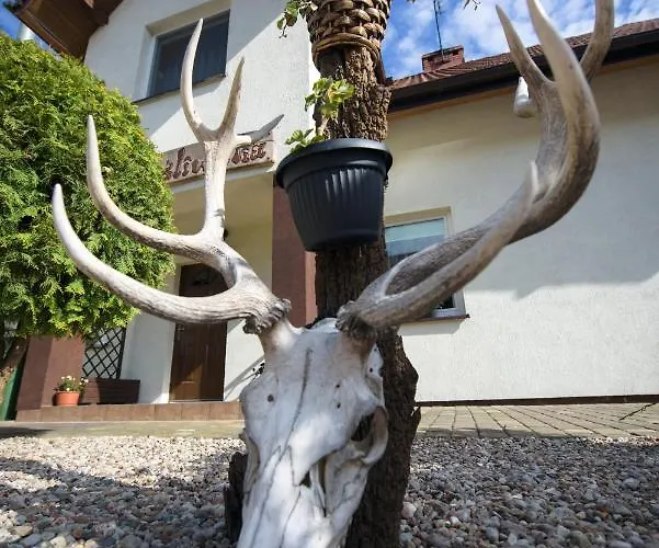 Mysliwska Bed & Breakfast