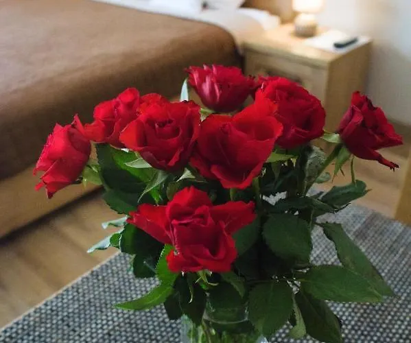 Mysliwska Bed & Breakfast 3*